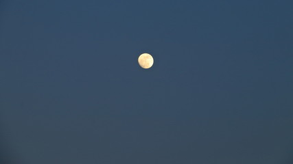 Moon is rising in the evening.