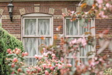 Fototapeta na wymiar Brick building facade framed with pink beautiful flowers. Dutch architecture, Groningen, The Netherlands.