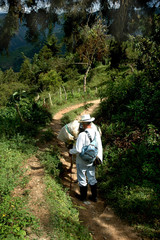 peasant and horse on trail path