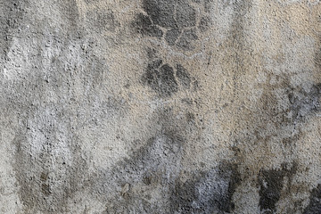 Obraz premium rough texture of a old gray wall.