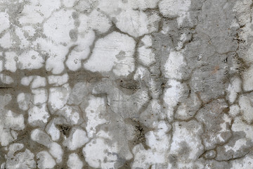 rough texture of a old gray wall.