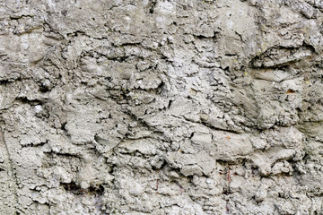 rough texture of a old gray wall.