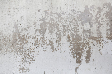 rough texture of a old gray wall.