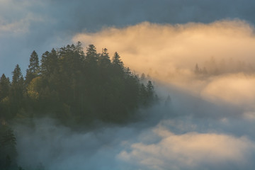 Poranne jesienne mgły w Pieninach.