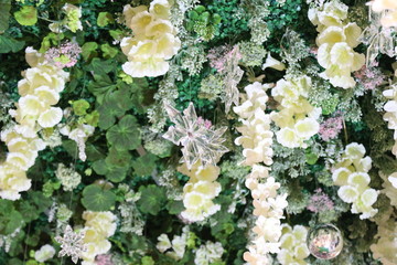bouquet of flowers