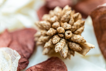 close up of christmas decoration, decorazioni natalizie
