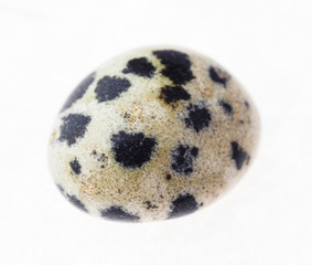 tumbled dalmatian jasper (dalmatine stone)