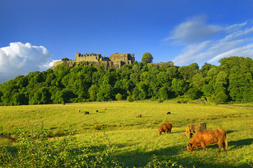 Stirling Castle, located in Stirling, is one of the largest and most important castles in Scotland,...