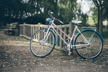 Fototapeta na wymiar bicicleta vintage