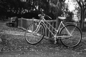 bicicleta vintage