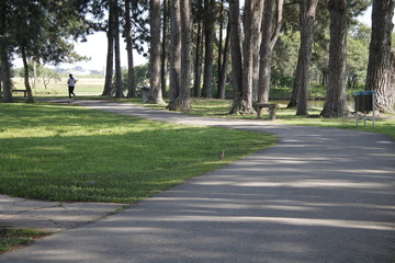 park tree