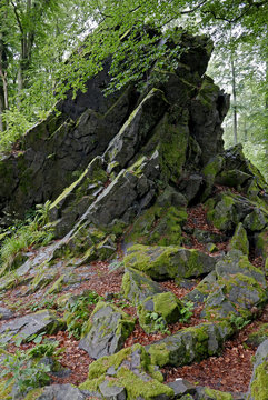 Wilhelmsteine: Rock outcroppings in a German forest