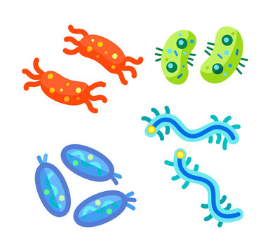 Microscopic Life Form Germ Cartoon Projections