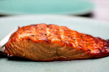 Close up of grilled salmon served on plate