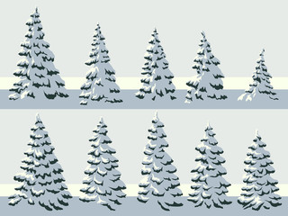 Simple illustration of snowy spruce trees (fir, fir-tree).