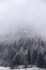 Fototapeta na wymiar autunno nebbia inverno freddo bosco 