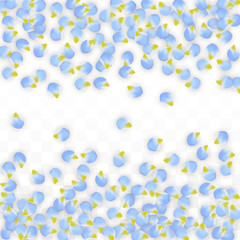 Vector Realistic Blue Petals Falling on Transparent Background.  Spring Romantic Flowers Illustration. Flying Petals. Sakura Spa Design. Blossom Confetti.