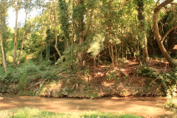 RÍO DE TIERRA