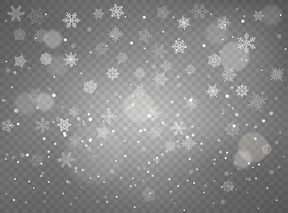 Winter snowfall background. Vector objects on transparent background