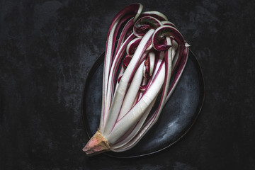 Bitter red italian radicchio chicory from Treviso ( IGP, Verona, Italy) on the dark rustic...