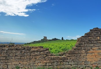 Châteauneuf-du-Pape – Ruine der ehemaligen päpstlichen Sommerresidenz    © hajo100