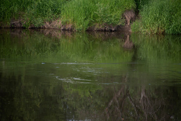 Natural landscape -  the fishing place