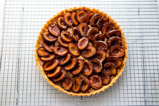 Overhead view of baked plum tart on cooling rack