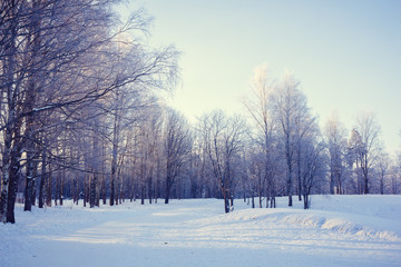 Winter landscape in clear weather. Frosty daylight at sunset