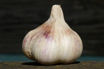 Knoblauch (Allium sativum) Knolle
