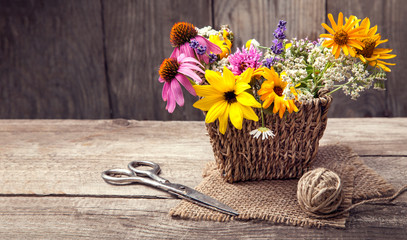 Wild flowers and scissors on old grunge wooden background (chamomile lupine dandelions thyme mint bells rape)
