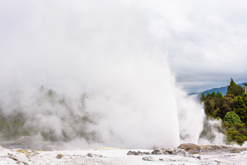 Fototapeta na wymiar Pohutu geyser eruption in Te Puia, Rotorua, New Zealand