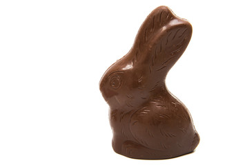 chocolate bunny isolated