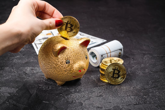 Bitcoins, currency and piggie bank