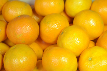 A lot of orange clementines, seeen in slight side light.