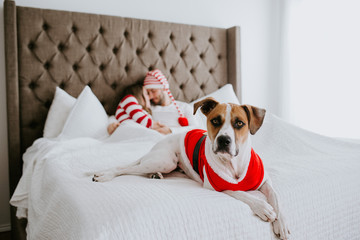 Happy Christmas couple snuggled in bed with puppy
