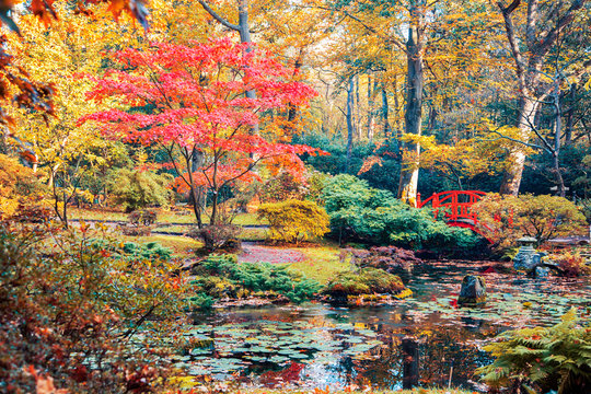 autumn in Japanese park