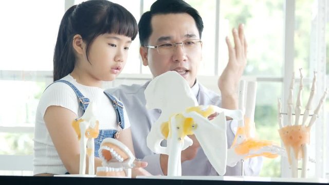 Little girl looking to anatomy model and listening scientist describe. People with science and education concept.