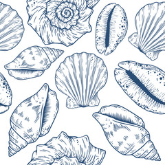 Hand drawn marine background. Vector isolated eps10 illustration.