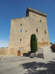 Châteauneuf-du-Pape – Ruine der ehemaligen päpstlichen Sommerresidenz    © hajo100