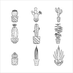 Cactus isolated on white background. Set of the Vector illustration