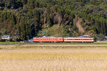 Fototapeta na wymiar Local railway running Ohara in Isuimi-city, Chiba, Japan