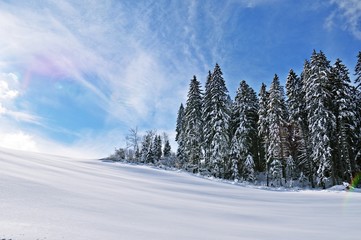 Winter in the Black Forest
