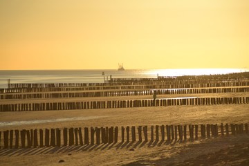 Fototapeta na wymiar Goldener Strandabend mit Buhnen , Sonnenuntergang,
