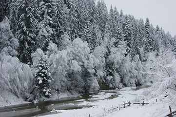 Mountains, nature, forest, fir tree, sky, earth, snow, clouds