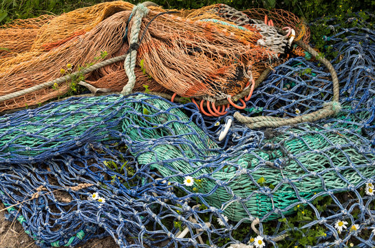 Orange and blue colorful fishing nets lying on grass and flowers peeking through. Both are aged and faded, tossed aside. daylight picture on grey day from above. 