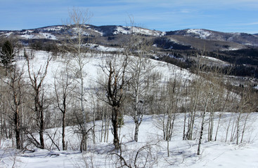 Mountain Landscape in Colorado Rocky Mountains, Colorado, United States