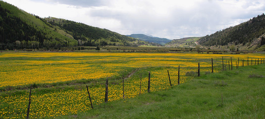 Fototapeta na wymiar Mountain Landscape in Colorado Rocky Mountains, Colorado, United States