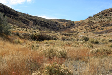 Fototapeta na wymiar Mountain Landscape in Colorado Rocky Mountains, Colorado, United States