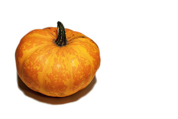 Orange pumpkin with shadow isloated.