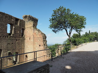 Châteauneuf-du-Pape – Ruine der ehemaligen päpstlichen Sommerresidenz    © hajo100